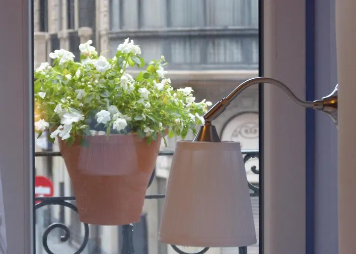 Гостьовий будинок Art Staynnapartments